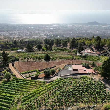 Finca Ecologica Ferrera. Alojamiento Rural. Арафо Экстерьер фото